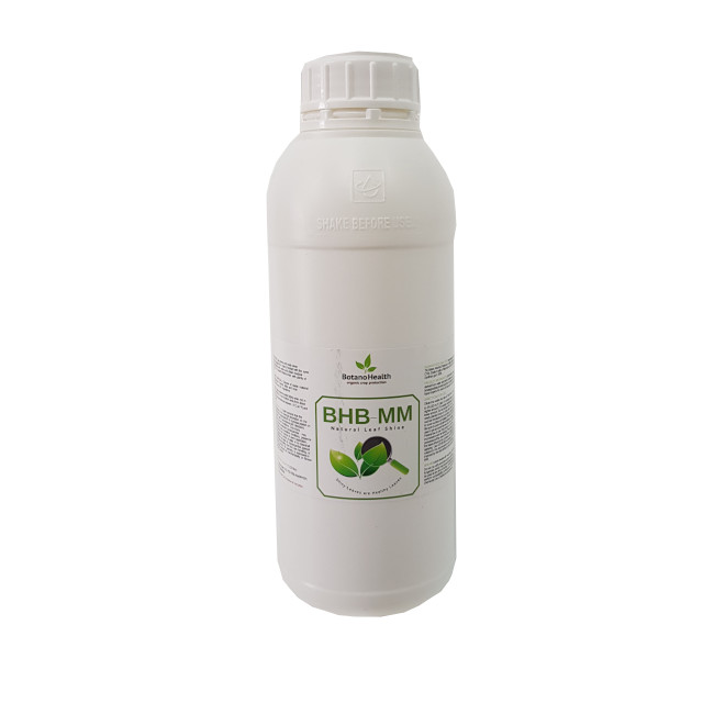 BHB-MM Leaf Wash 1lt